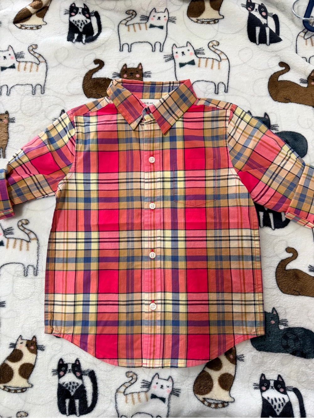 5x$30 Janie & Jack button down shirt